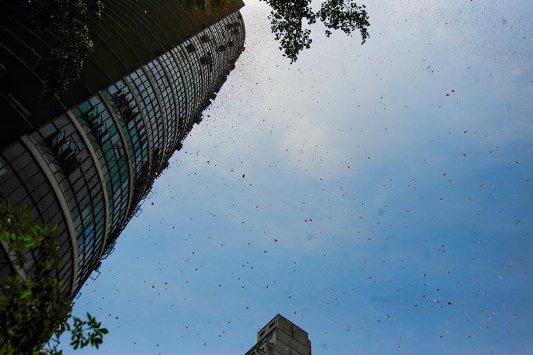 Crédito: Marcus Ferreira