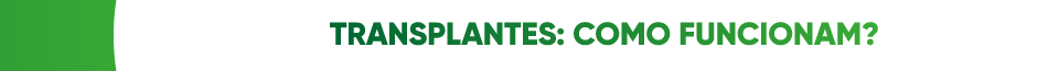 titulo 1