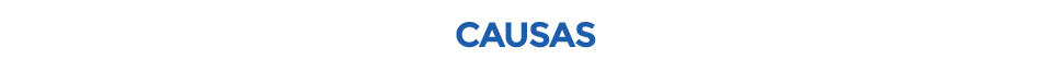 CAUSAS