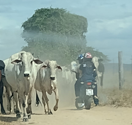 Equipe da APS do município envolvida no projeto “Saúde na Estrada”- Foto: Divulgação Prefeitura