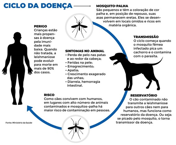 2024.07.05 Ministério da Saúde Ciclo da Doença